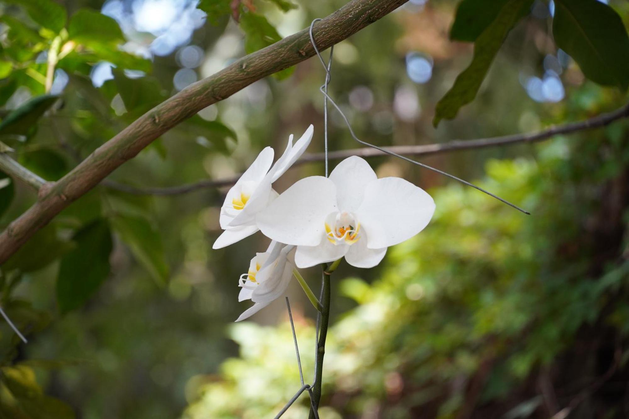 Villa Las Flores ซานซัลวาดอร์ ภายนอก รูปภาพ